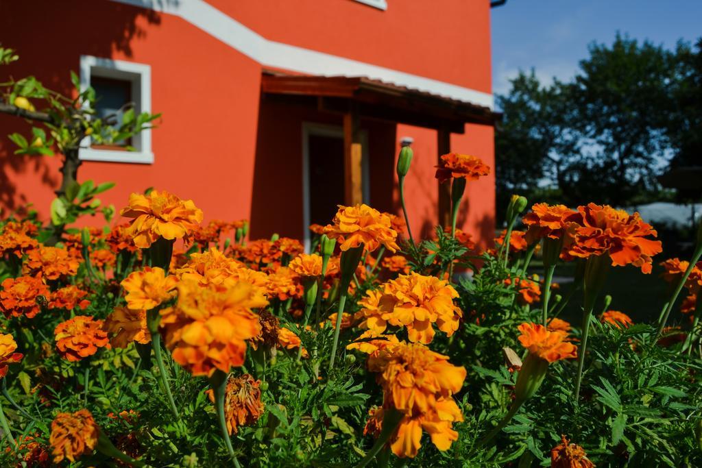 ורונה Agriturismo Ca' La Pergola מראה חיצוני תמונה