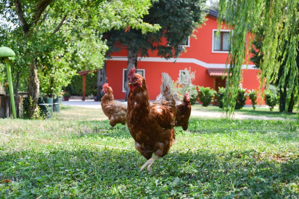 ורונה Agriturismo Ca' La Pergola מראה חיצוני תמונה